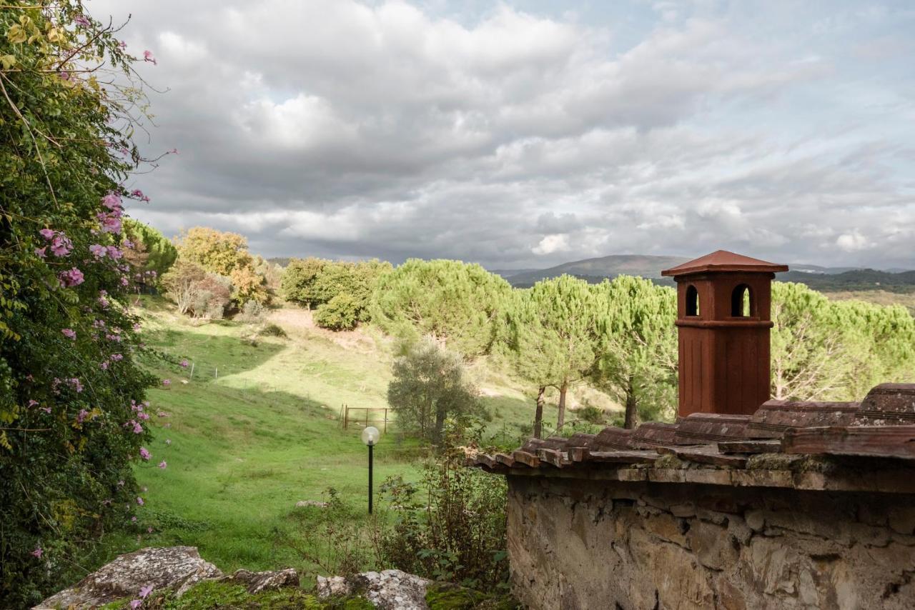 Agriturismo San Ottaviano Monterotondo  Exterior foto
