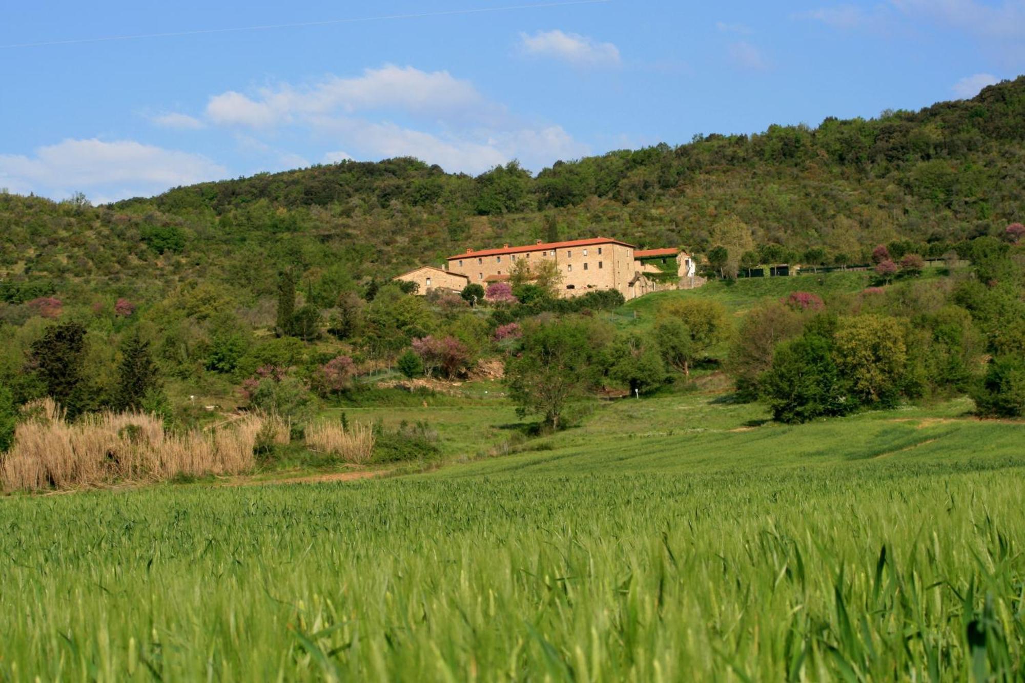Agriturismo San Ottaviano Monterotondo  Exterior foto