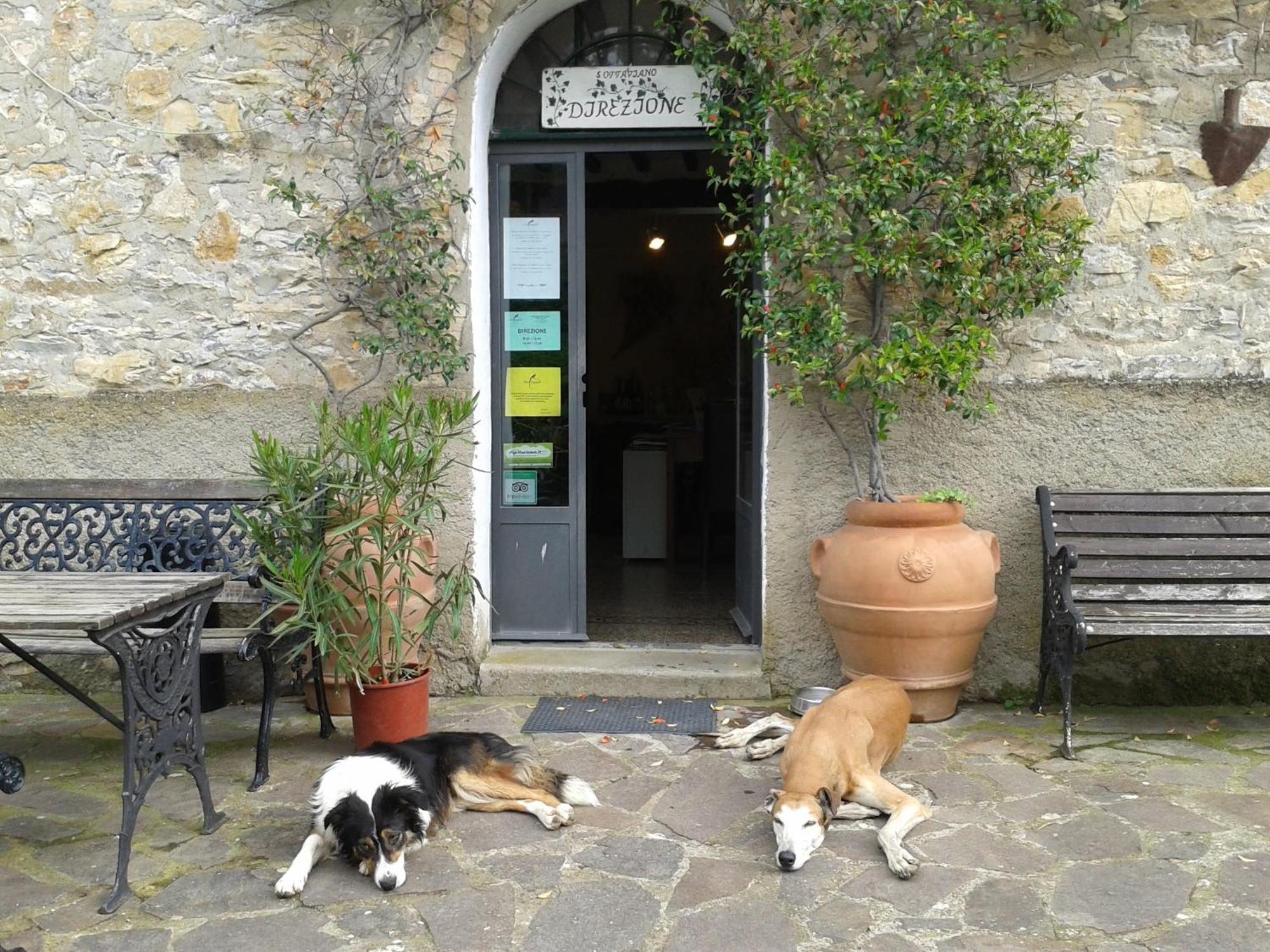 Agriturismo San Ottaviano Monterotondo  Exterior foto